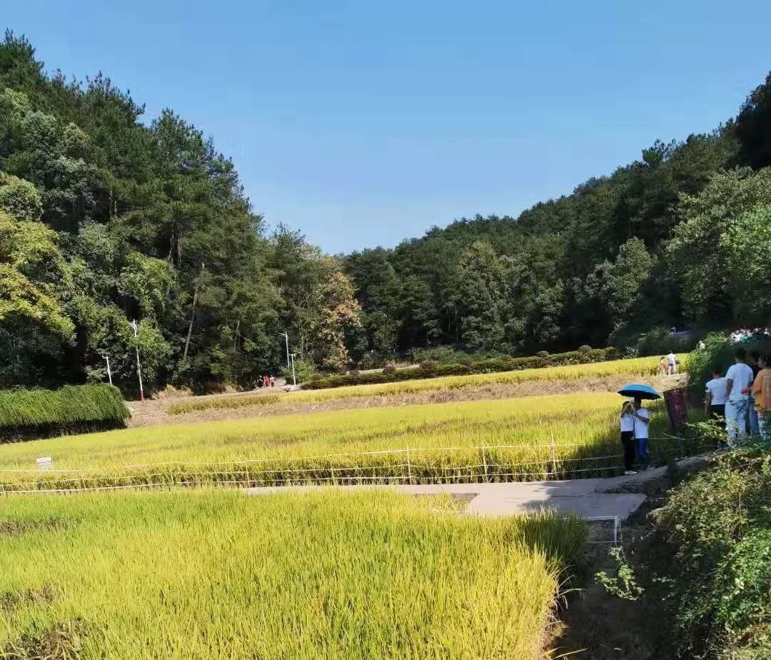 电将军人赴韶山毛泽东故居 电将军人赴韶山毛泽东故居